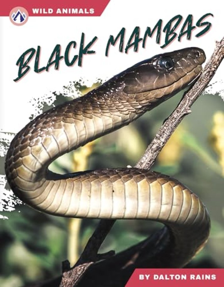 Black Mambas