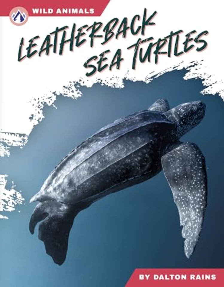 Leatherback Sea Turtles