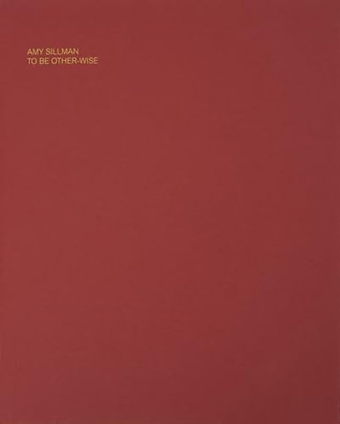 Amy Sillman: To Be Other-Wise