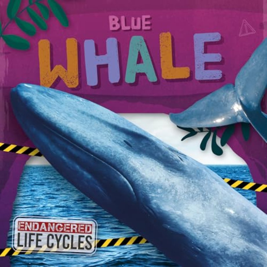 Blue Whale