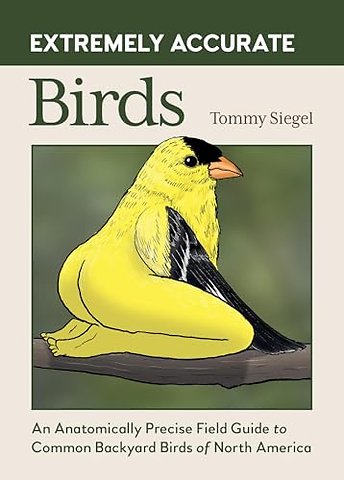 Extremely Accurate Birds