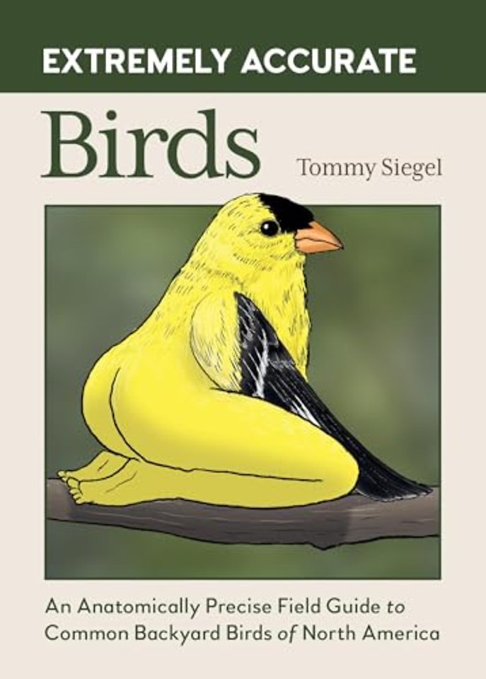 Extremely Accurate Birds