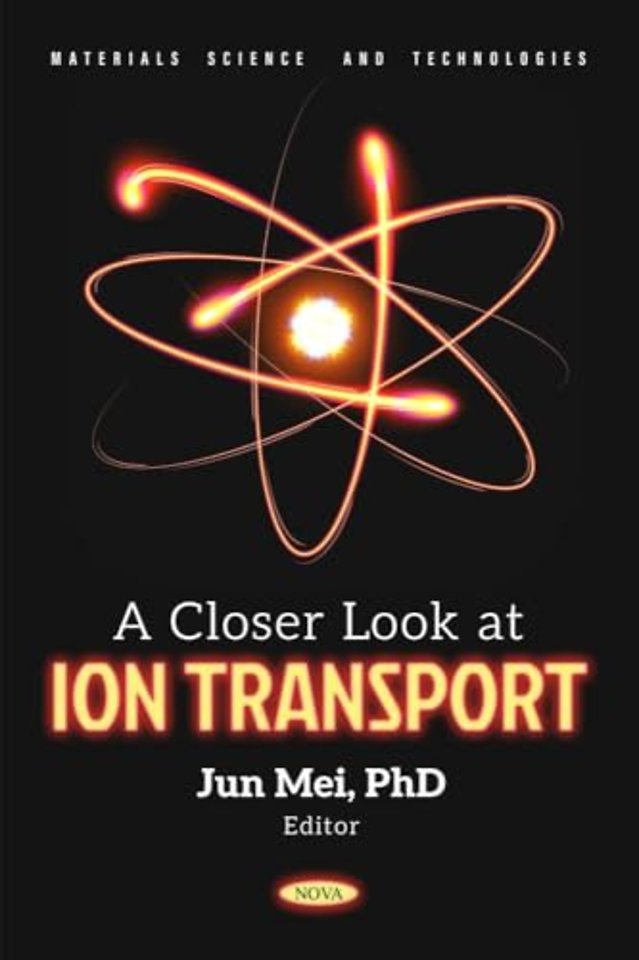 A Closer Look at Ion Transport