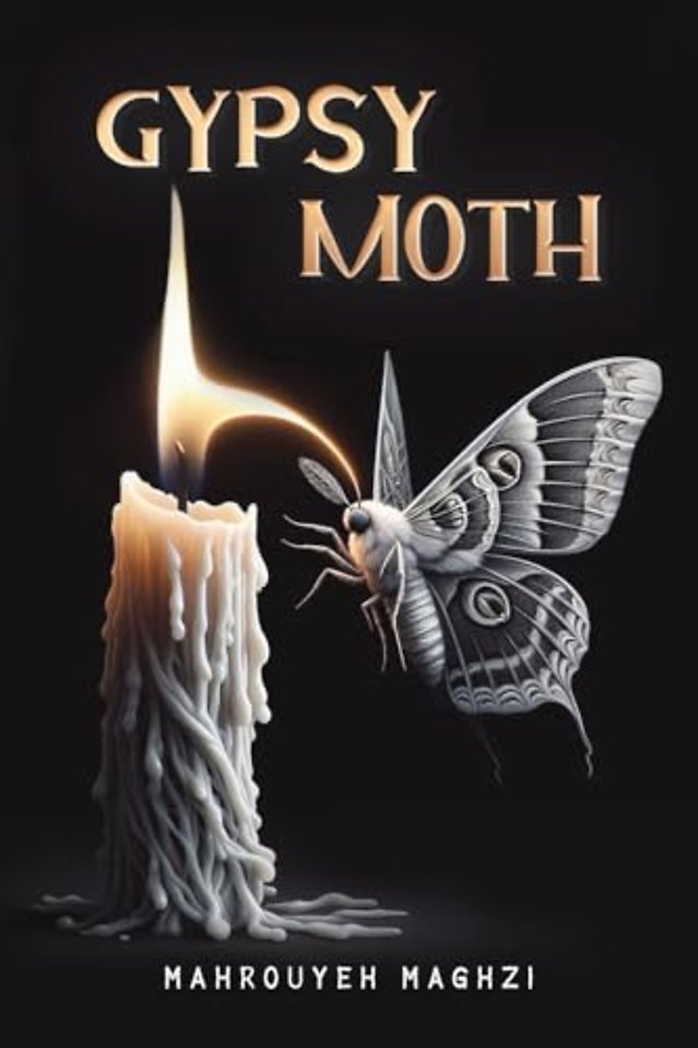 Gypsy Moth