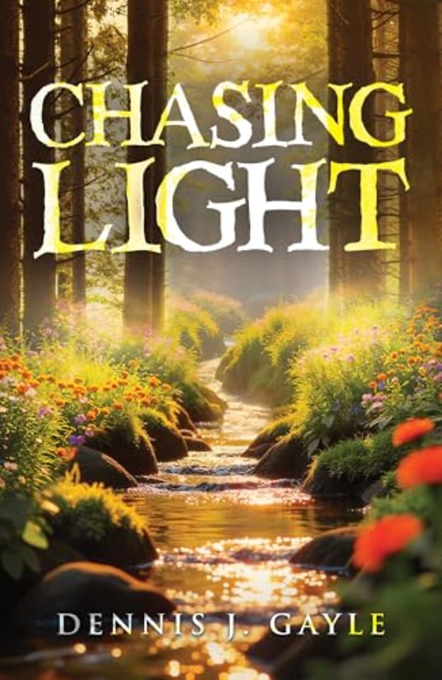 Chasing Light