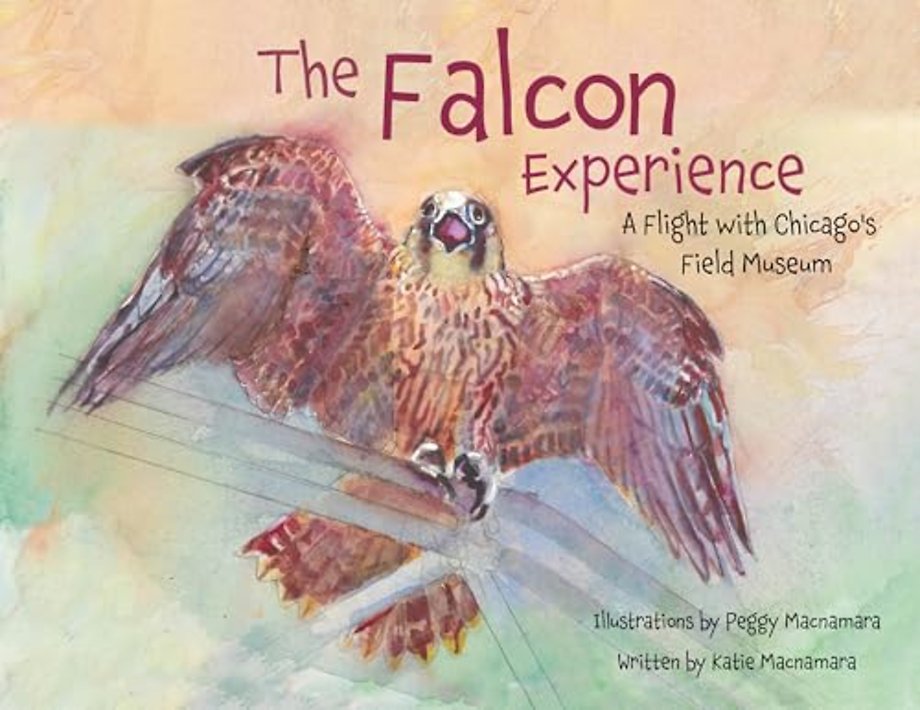 The Falcon Experience – A Flight with Chicago`s Field Museum