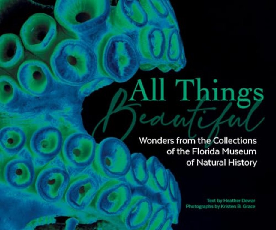 All Things Beautiful – Wonders from the Collections of the Florida Museum of Natural History