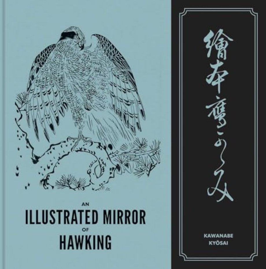An Illustrated Mirror of Hawking