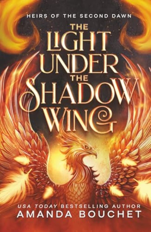 The Light Under the Shadow Wing