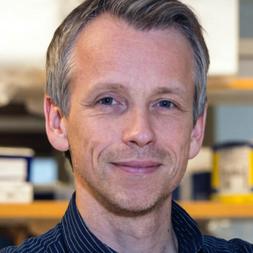 Tim van Opijnen