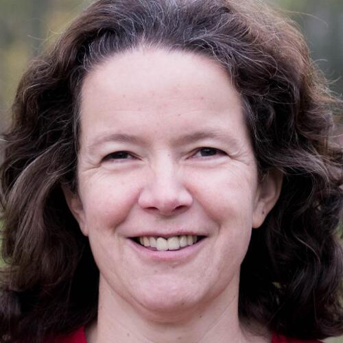 Joscha de Vries